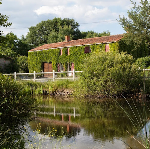 Camping du Bois Noir à Montaigu-Vendée
