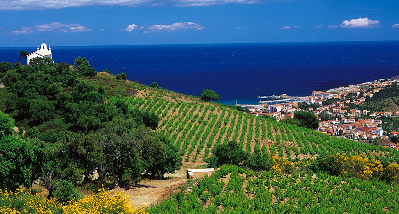 Domaine Pedra Llampada à Saint-Génis-des-Fontaines