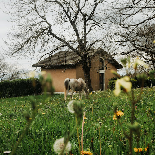 Black Mountain Village à Cuxac-Cabardès