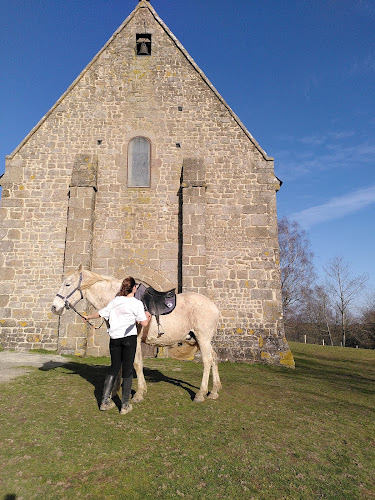Area Des Pierres Jumelles Balade À Cheval à Sainte-Gemmes-le-Robert