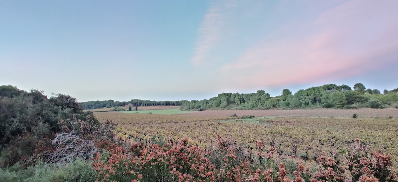 Pinet à Pinet
