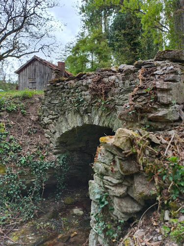 LeChampDesCouchettes à Bellenaves