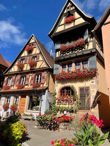 Chambre d'hôtes NARTZ à Dambach-La-Ville