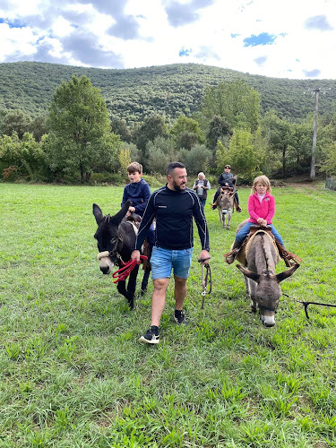 Natur nes à Mialet