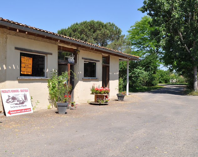 Farm Pibouls à Montauban