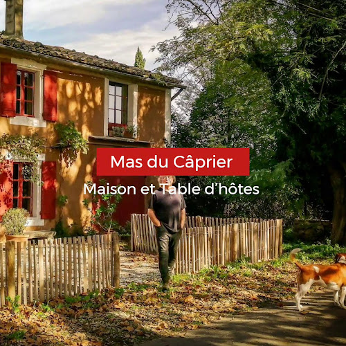 Le Mas du Cprier à Charleval