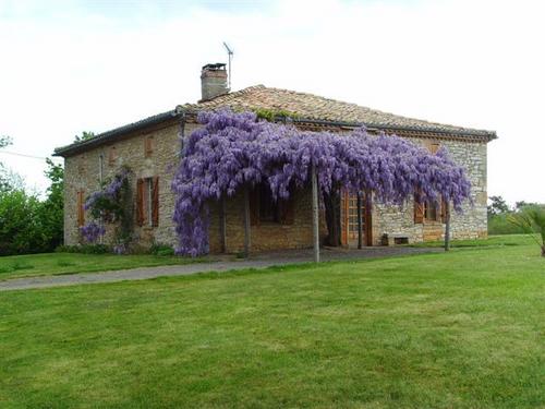 La Plaine à Vaïssac