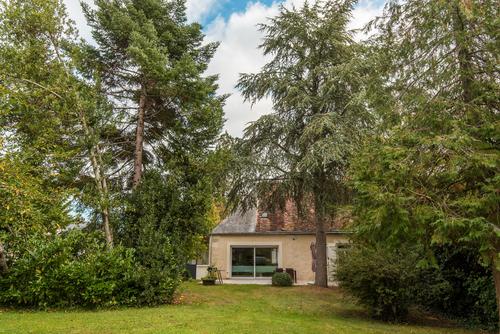 Le Cèdre du Prieuré à Montreuil-le-Henri