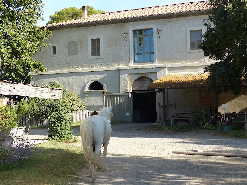 Mas Saint Germain En Camargue à Arles