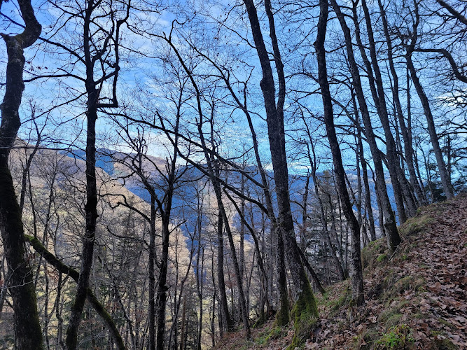 Les Myrtilles à Moustajon près de Luchon à Moustajon