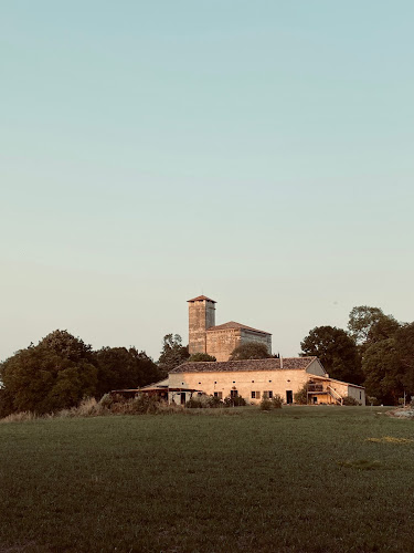 Drôles d oiseaux à Plieux