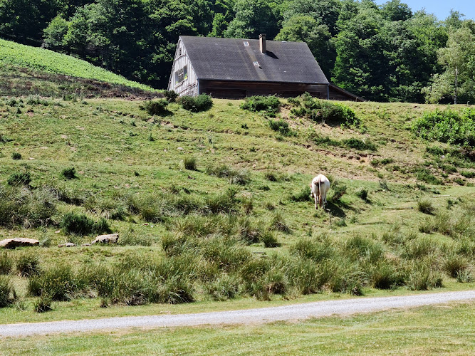 Plateau d Iraty-Cize à Lecumberry