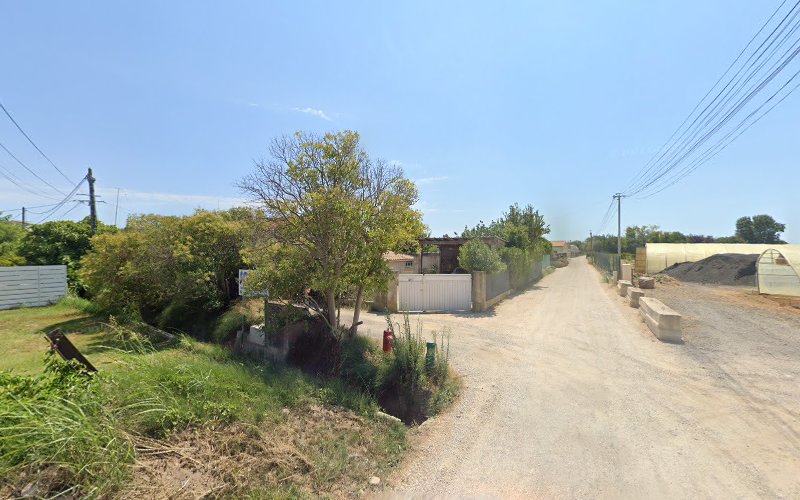 Liotot Esteve Patricia à Hyères