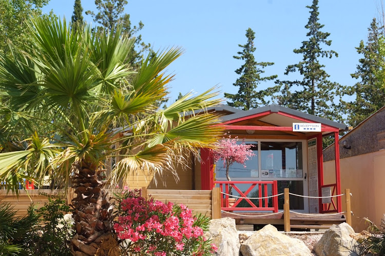 Camping Sellig à Le Muy