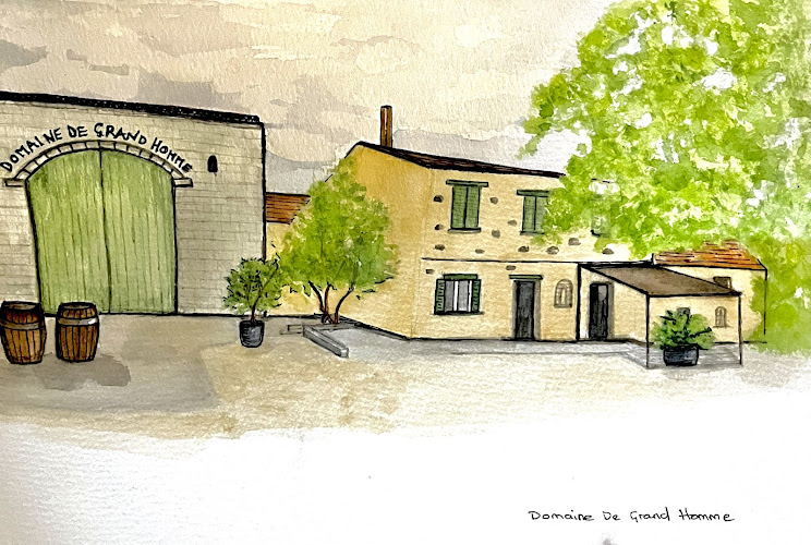 Domaine de Grand Homme à Blasimon