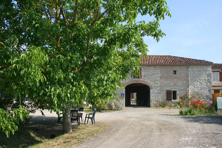 The Lime trees of the Greenway à Feugarolles