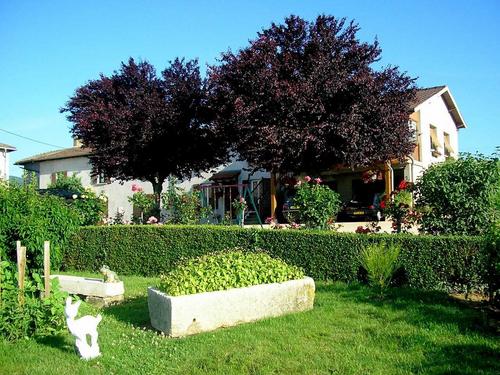 Le Gîte de Bacchus à JULIENAS
