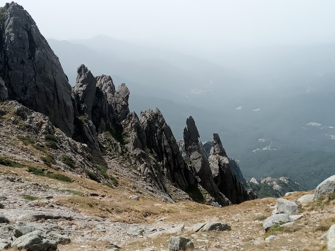 Palneca à Palneca