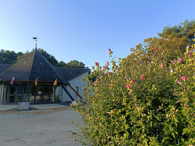 Les Grands Pins à Velles