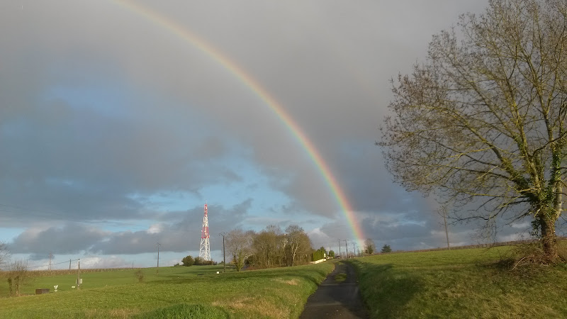 Résidence les Fleurs du Moulin à Jonzac
