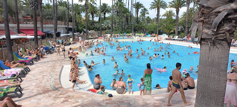 Les Cocotiers à Fréjus