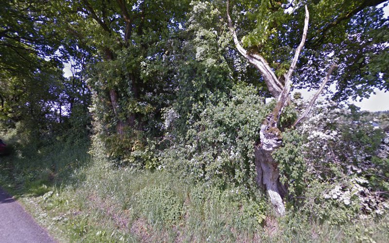 Camping in Groie à Sillé-le-Guillaume