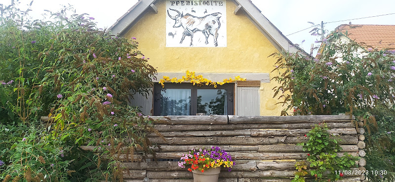 Prehistogite à Saint-Geniès
