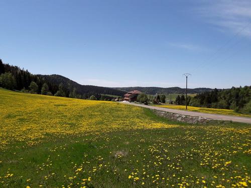 La Margueronne à SEPTMONCEL LES MOLUNES