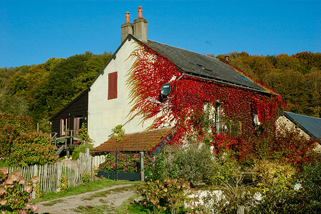Morvan Rustique à Saint-Prix