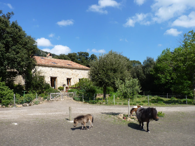 The Sheepfold Prat de Mu à Termes