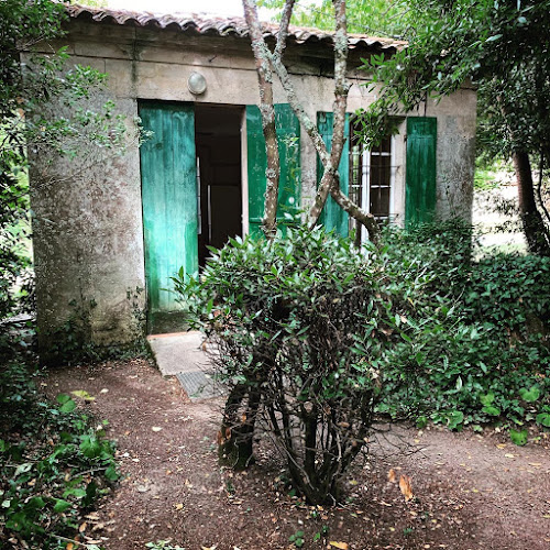 Camping Les Tilleuls à Mazion
