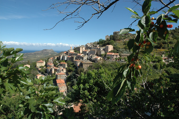 résidence Monte Marina à Tarco