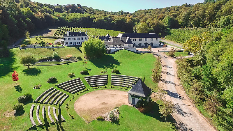 Domaine du Cinquau à Artiguelouve