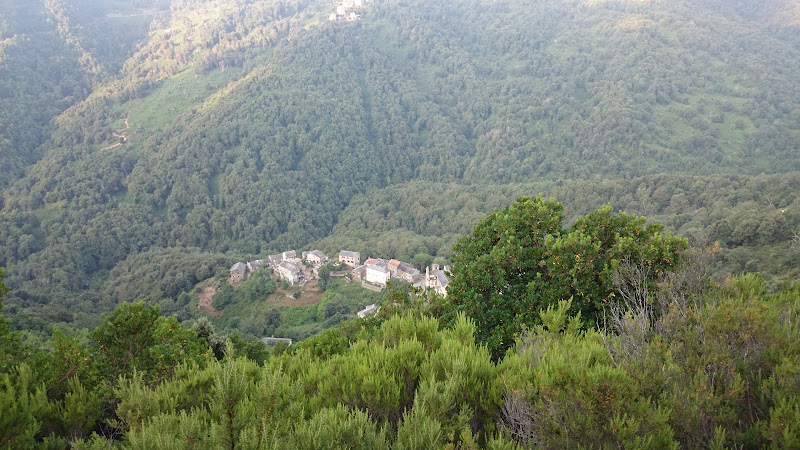 Ortale à Ortale