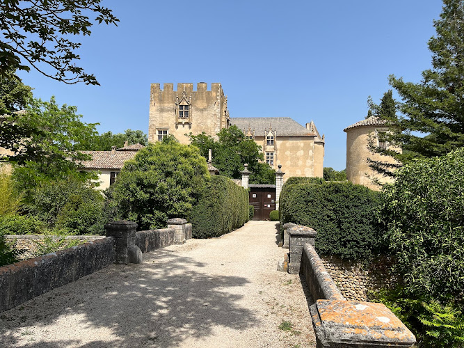 Chteau d Allemagne en Provence à Allemagne-en-Provence