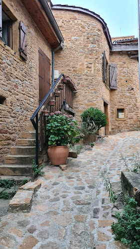 Appartement Bagnols à Theizé