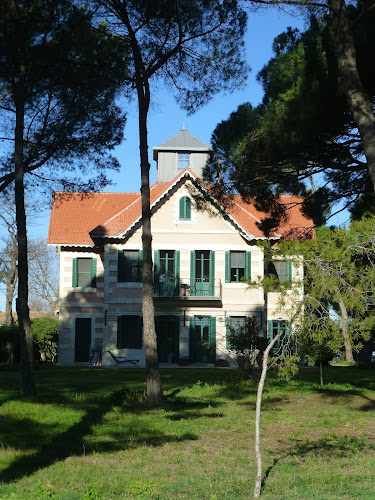 Chambre d hôtes La Maison du Mole à Aigues-Mortes