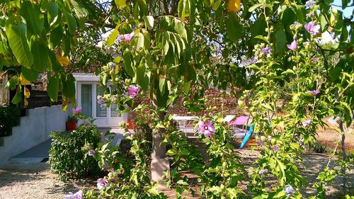 Gîte en campagne G2072 à GONFARON
