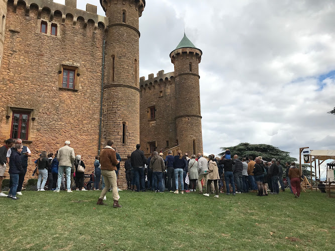 Castle of Montmelas à Montmelas-Saint-Sorlin