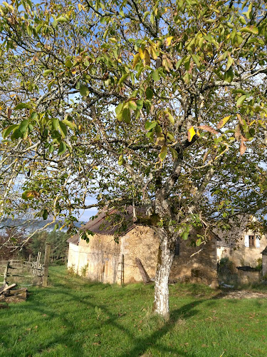 Les gîtes de Maillol à Thonac