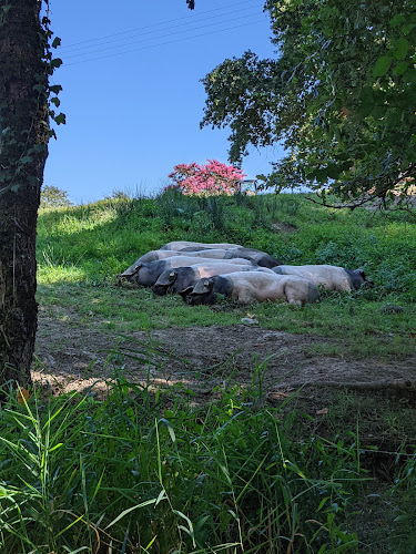 The Serbielle Farm à Angous