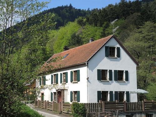 Les Bergeronnettes à Wangenbourg-Engenthal