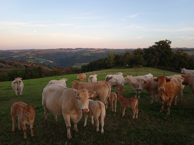 La Ferme de Tessi à Rignac