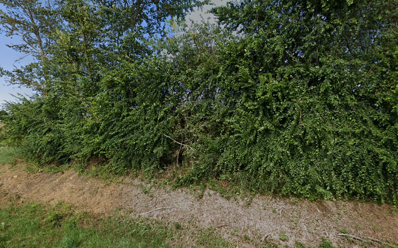 Parc résidentiel de loisirs à Doué-en-Anjou