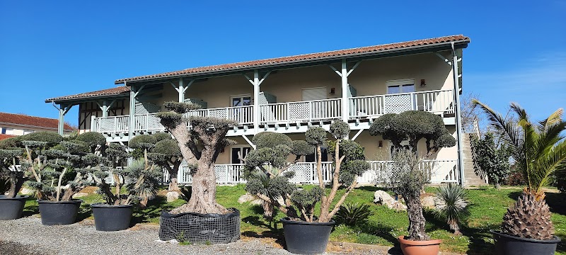 Hôtel Minvielle Les Oliviers
