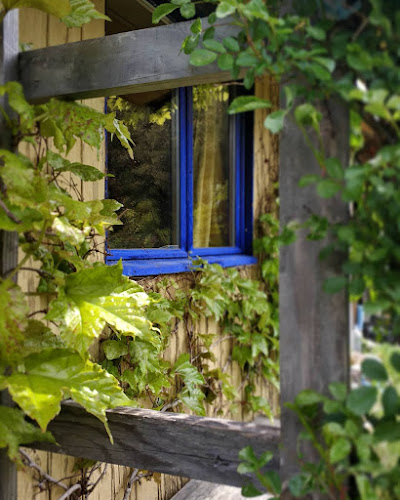 Au Cœur Du Chêne Vert