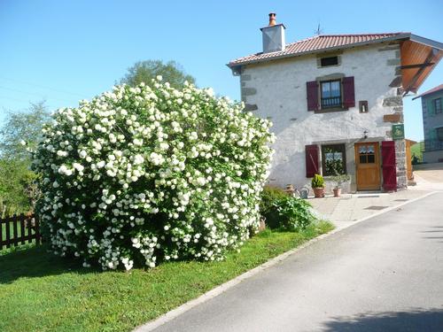 La Steph' à Bonvillet