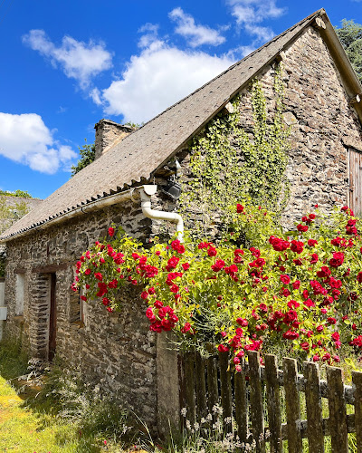 Gîte Ò FaYa Cottage à Saint-Mayeux
