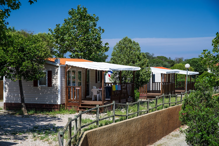 Camping municipal La Pine à Banyuls-sur-Mer