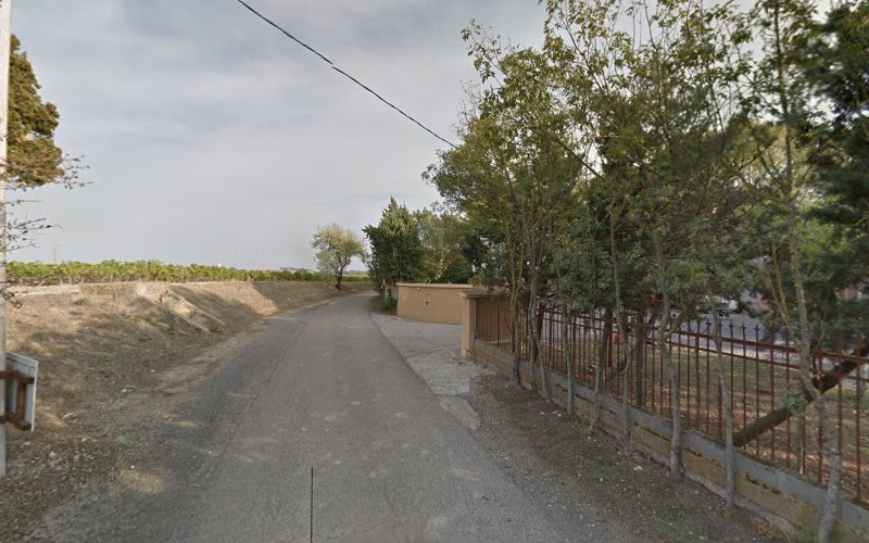Domaine St Jean des Sources à Pinet